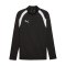 PUMA teamFINAL26 Training 1/4 Zip Top Schwarz F03 - schwarz