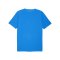 PUMA teamFINAL26 Training Trikot Blau F02 - blau