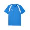 PUMA teamFINAL26 Training Trikot Blau F02 - blau