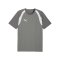 PUMA teamFINAL26 Training Trikot Grau F13 - grau