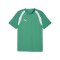 PUMA teamFINAL26 Training Trikot Grün F05 - gruen