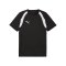 PUMA teamFINAL26 Training Trikot Schwarz F03 - schwarz