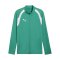 PUMA teamFINAL26 Trainingsjacke Grün F05 - gruen