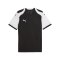 PUMA teamFINAL26 Trikot Schwarz F03 - schwarz