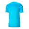 PUMA teamFLASH Trikot Blau F02 - blau