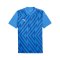 PUMA teamGLORY Trikot Blau Weiss Blau F02 - blau