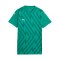 PUMA teamGLORY Trikot Damen Grün F005 - gruen