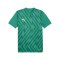PUMA teamGLORY Trikot Grün Weiss Grün F05 - gruen