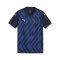 PUMA teamGLORY Trikot Kids Blau Weiss Blau F06 - blau
