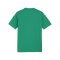 PUMA teamGLORY Trikot Kids Grün Weiss Grün F05 - gruen