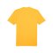 PUMA teamGLORY Trikot Orange Schwarz F61 - orange