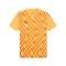 PUMA teamGLORY Trikot Orange Schwarz F61 - orange