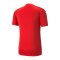 PUMA teamGLORY Trikot Rot F01 - rot