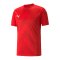 PUMA teamGLORY Trikot Rot F01 - rot