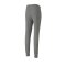 PUMA teamGOAL 23 Casuals Pants Jogginghose F33 - grau