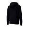 PUMA teamGOAL 23 Kapuzenjacke Schwarz F03 - schwarz