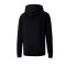 PUMA teamGOAL 23 Casuals Hoody Schwarz F03 - schwarz