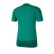 PUMA teamGOAL 23 Training Trikot Grün F05 - Gruen