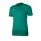 PUMA teamGOAL 23 Training Trikot Grün F05 - Gruen
