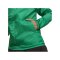 PUMA teamGOAL Allwetterjacke Grün Weiss F05 - gruen