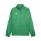 PUMA teamGOAL Allwetterjacke Grün Weiss F05 - gruen