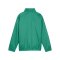 PUMA teamGOAL Allwetterjacke Kids Grün Weiss F05 - gruen