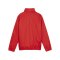 PUMA teamGOAL Allwetterjacke Kids Rot Weiss F01 - rot