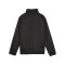 PUMA teamGOAL Allwetterjacke Kids Schwarz Weiss F03 - schwarz