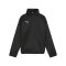 PUMA teamGOAL Allwetterjacke Kids Schwarz Weiss F03 - schwarz