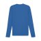 PUMA TeamGOAL Baselayer Longsleeve Blau F02 - blau