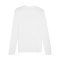 PUMA teamGOAL Baselayer Longsleeve Weiss F04 - weiss