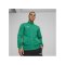 PUMA teamGOAL Casual Trainingsjacke Grün Weiss F05 - gruen