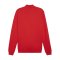 PUMA teamGOAL Casual Trainingsjacke Rot Weiss F01 - rot