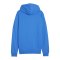 PUMA teamGOAL Casuals Hoody Blau F02 - blau