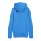 PUMA teamGOAL Casuals Hoody Damen Blau F02 - blau