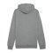 PUMA teamGOAL Casuals Hoody Grau F33 - grau