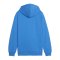 PUMA teamGOAL Casuals Hoody Kids Blau F02 - blau