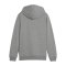PUMA teamGOAL Casuals Hoody Kids Grau F33 - grau