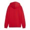 PUMA teamGOAL Casuals Hoody Kids Rot F01 - rot