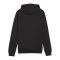 PUMA teamGOAL Casuals Hoody Schwarz F03 - schwarz