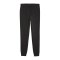PUMA teamGOAL Casuals Jogginghose Schwarz F03 - schwarz