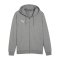 PUMA teamGOAL Casuals Kapuzenjacke Grau F33 - grau
