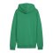 PUMA teamGOAL Casuals Kapuzenjacke Grün F05 - gruen