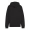 PUMA teamGOAL Casuals Kapuzenjacke Schwarz F03 - schwarz