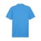 PUMA teamGOAL Casuals Poloshirt Blau F02 - blau