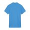 PUMA teamGOAL Casuals Poloshirt Damen Blau F02 - blau