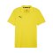 PUMA teamGOAL Casuals Poloshirt Gelb F07 - gelb