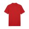 PUMA teamGOAL Casuals Poloshirt Rot F01 - rot