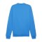 PUMA teamGOAL Casuals Sweatshirt Blau F02 - blau