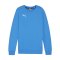 PUMA teamGOAL Casuals Sweatshirt Kids Blau F02 - blau